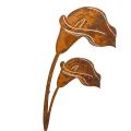 Floristik24 Hagepike Calla blomst rust for graver og blomsterdekorasjoner 25 cm 6 stk