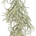Floristik24 Calocephalus Garland Kunstige Planter Sølvgrå 122cm