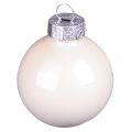 Juletrekuler glasstrekuler Berry Mix Ø5cm 24 stk Berry rosa beige krem skinnende | Floristik24.no
