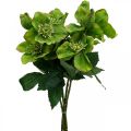 Floristik24 Julerose fastelavnsrose Hellebore kunstige blomster grønn L34cm 4stk