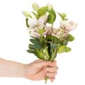 Kunstig blomsterdekorasjon med julerose, 30 cm bukett med 4 stk. | Floristik24.no