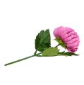 Floristik24 Chrysanthemum Pink kunstig Ø7cm L18cm