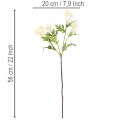 Kunstig krysantemumblomst, kremhvit bukett, dekorativ gren, stor 56 cm, 4 stk. | Floristik24.no