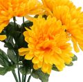 Floristik24 Chrysanthemum gul med 7 blomster