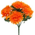 Floristik24 Chrysanthemum orange med 7 blomster