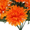 Floristik24 Chrysanthemum orange med 7 blomster