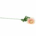 Floristik24 Chrysanthemum blomst gren rosa kunstig 64cm
