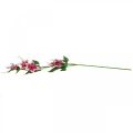 Floristik24 Clematis gren med 5 blomster, kunstig blomst, dekorativ gren rosa, hvit L84cm
