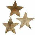 Floristik24 Kokosstjerne naturlig 10cm 20stk Julepynt sølvstjerner
