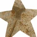 Floristik24 Kokosstjerne naturlig 10cm 20stk Julepynt sølvstjerner