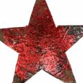 Floristik24 Kokosnøtt stjerne rød 5cm 50 stk julepynt dekorative stjerner