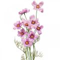 Floristik24 Cosmea smykkekurv lilla kunstige blomster sommer 51cm 3stk