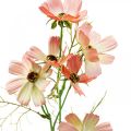 Floristik24 Cosmea smykkekurv Fersken kunstige blomster sommerblomster 61cm