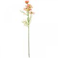 Floristik24 Cosmea smykkekurv Fersken kunstige blomster sommerblomster 61cm