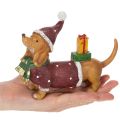 Dekorativ dachsfigur med gavepakke og hatt, 18 cm | Floristik24.no
