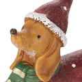 Dekorativ dachsfigur med gavepakke og hatt, 18 cm | Floristik24.no