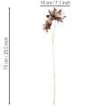 Kunstig georgineblomst, langstilket med to blomster, 75 cm | Floristik24.no