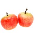 Dekorative epler Cox 4cm 24stk