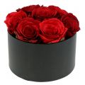 Floristik24 Blomsterkasse roseeske sort rund Ø18cm - Ø20cm 2stk