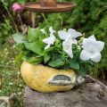 Floristik24 Dekorativ pære, keramikk for pynt, høst, plantepotte L25cm H11cm