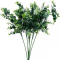 Floristik24 Dekorativ eukalyptusgren mørkegrønn kunstig eukalyptus kunstig grønne planter 6 stk.