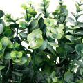 Floristik24 Dekorativ eukalyptusgren mørkegrønn kunstig eukalyptus kunstig grønne planter 6 stk.
