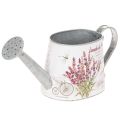 Floristik24 Dekorativ vannkanne i metall, lavendel, retro hagedesign, 30 × 11 × 14,5 cm