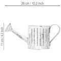 Dekorativ vannkanne, blomsterkasse, vannkanne for planting Ø10,5 cm | Floristik24.no
