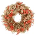 Floristik24 Dekorativ krans tørkede blomster blomsterkrans appelsinkrem Ø25cm