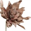 Floristik24 Deco lotusblomst kunstig lotusblomst kunstig blomst brun L68cm