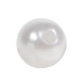 Floristik24 Deco perler hvit Ø10mm 115p