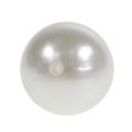 Floristik24 Deco perler hvit Ø20mm 12stk