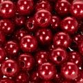 Dekorperler Ø10mm rød 115 stk | Floristik24.no