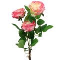 Floristik24 Deco rose rosa Ø10cm 52cm 3stk