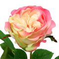 Floristik24 Deco rose rosa Ø10cm 52cm 3stk