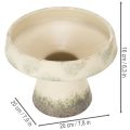 Dekorativ keramikkskål, kremgrågrønn, Ø20 cm, H16 cm | Floristik24.no