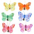 Floristik24 Dekorative sommerfugler på klippet, diverse farger 6cm 24stk