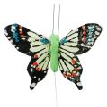 Floristik24 Dekorative sommerfugler, diverse 6cm, 24stk