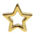 Floristik24 Deco stjerne gull 6,5 cm 6stk