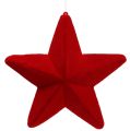 Floristik24 Deco stjerne rød strømmet 20cm