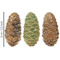 Dekorative keramiske kongler, assortert grønn, gul, brun, 8,5 cm, 6 stk. | Floristik24.no