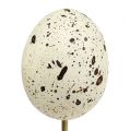 Floristik24 Dekorativt egg 5cm på pinne 12stk