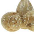 Floristik24 Treegg, dekorative egg, påskeegg laget av mangotre 8×5cm 6stk