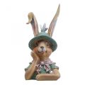 Deco kanin kanin byste dekorasjon figur kanin hode 18cm