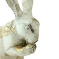 Floristik24 Dekorative kaniner stående stående hvitt gull H12,5x16,5cm 2stk