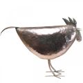 Deco Chicken Metal Deco Metal Bird Metallic Rosé 51×16×36cm