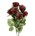 Floristik24 Deco rose snøsnød rød Ø6cm 6stk