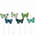 Floristik24 Deco sommerfugl på trådgrønn, blå 5-6cm 24p