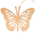 Floristik24 Deco sommerfugler deco henger oransje/rosa/gul 12cm 12stk