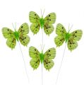 Floristik24 Dekorative sommerfugler grønne 8cm 6stk